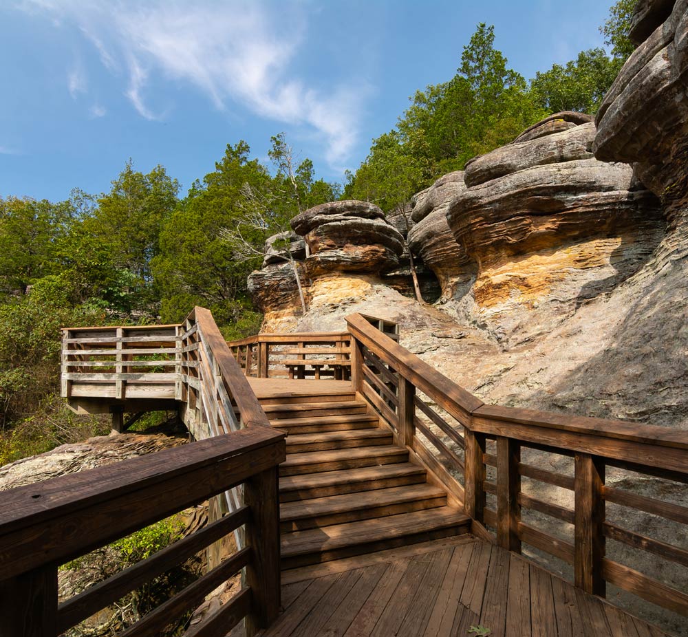 shawnee forest
