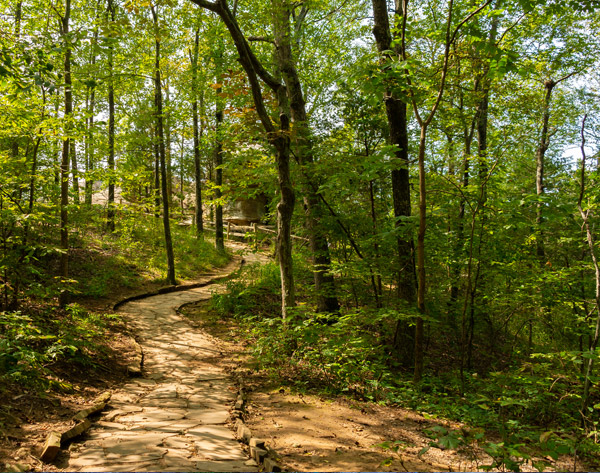 shawnee forest
